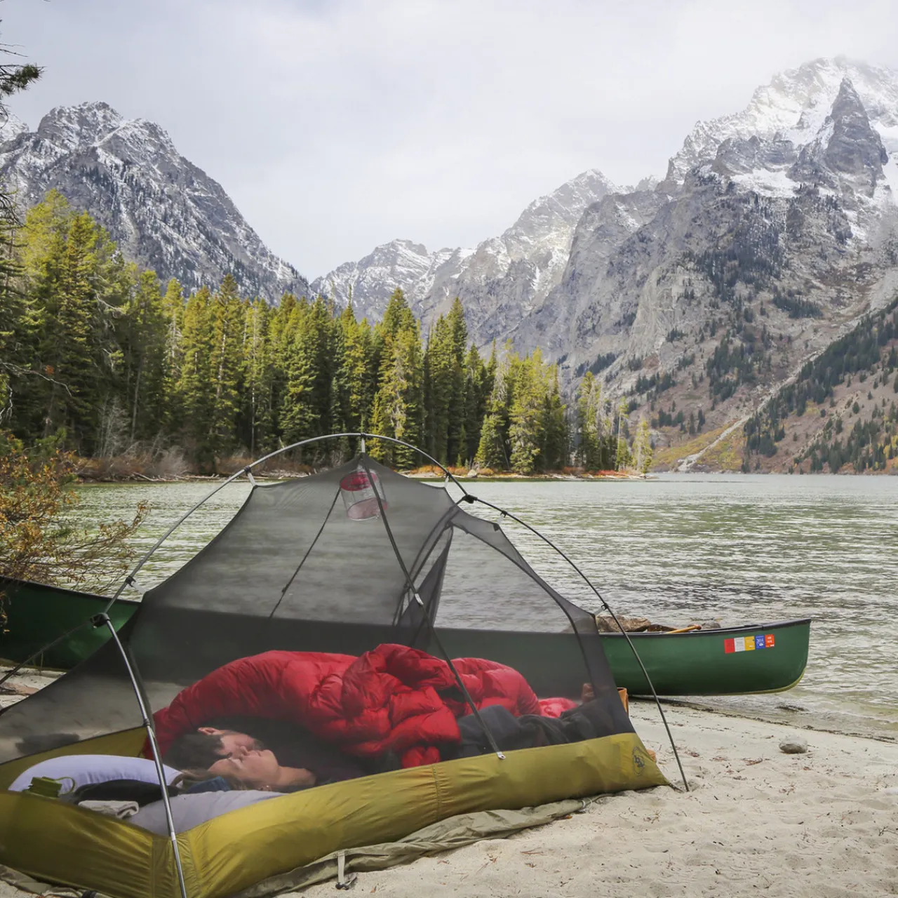 Outlet Accomplice 850FP 30F 2 Person Quilt Quilts