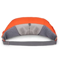Sale Aeon LT 5 Belt Pack Waist Packs