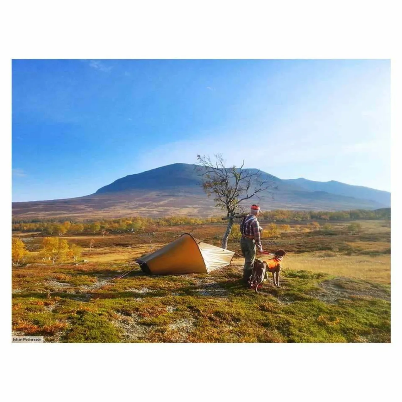 Hot Akto Tent One Person Tents