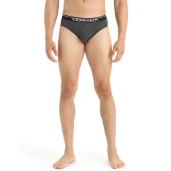 Online Anatomica Merino Briefs Underwear|Underwear