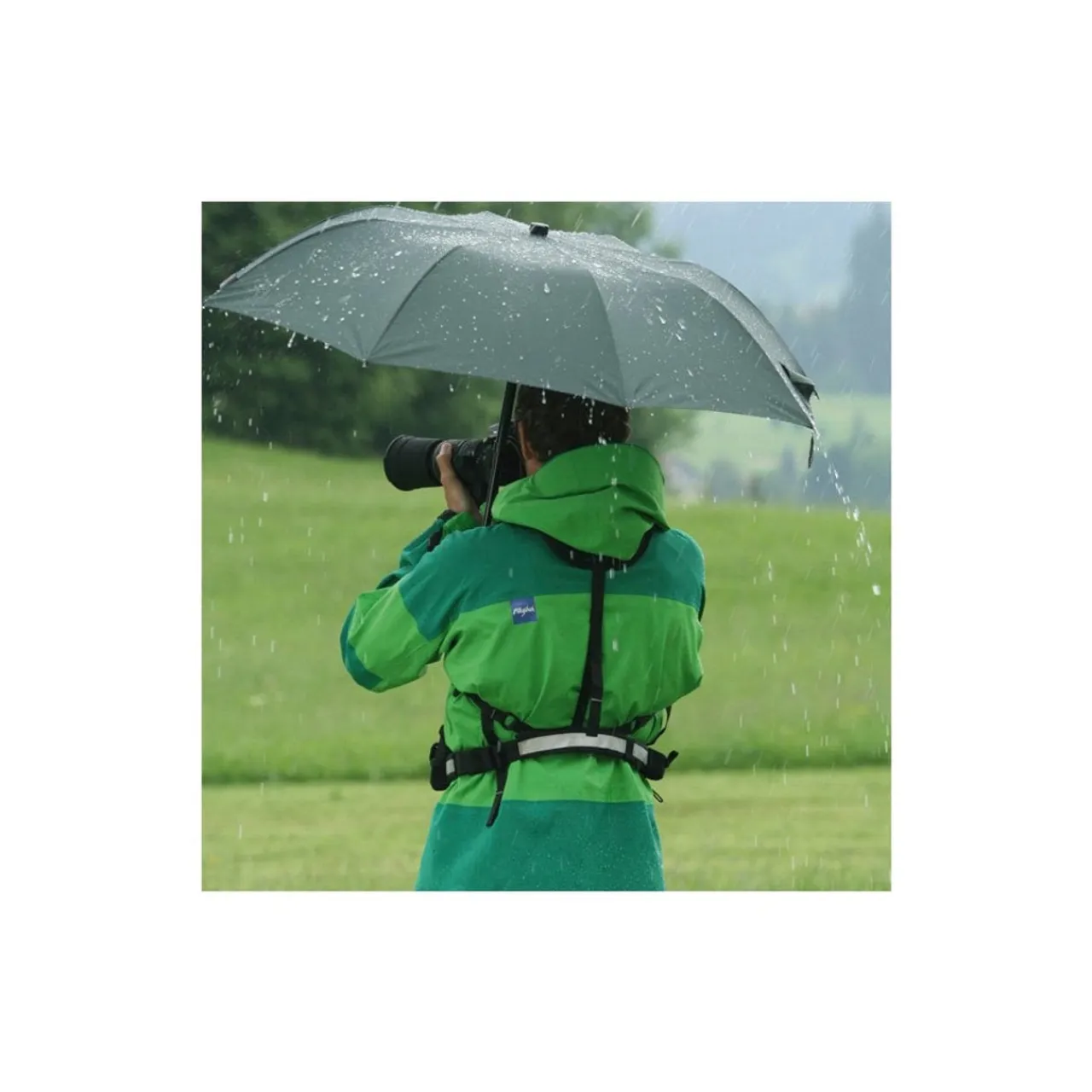 Best Carrier System Accessories|Umbrellas