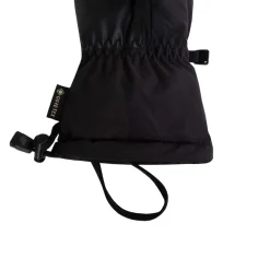 Chamonix Gore-Tex Mitts Mitts