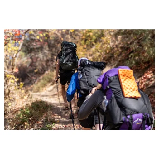 Online Circuit SV 48 Rucksack Backpacking Rucksacks - UltraLite Gear