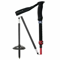 Best DynaLock Ascent Carbon Poles Trekking Poles