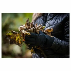 Best Focus Gloves Gloves