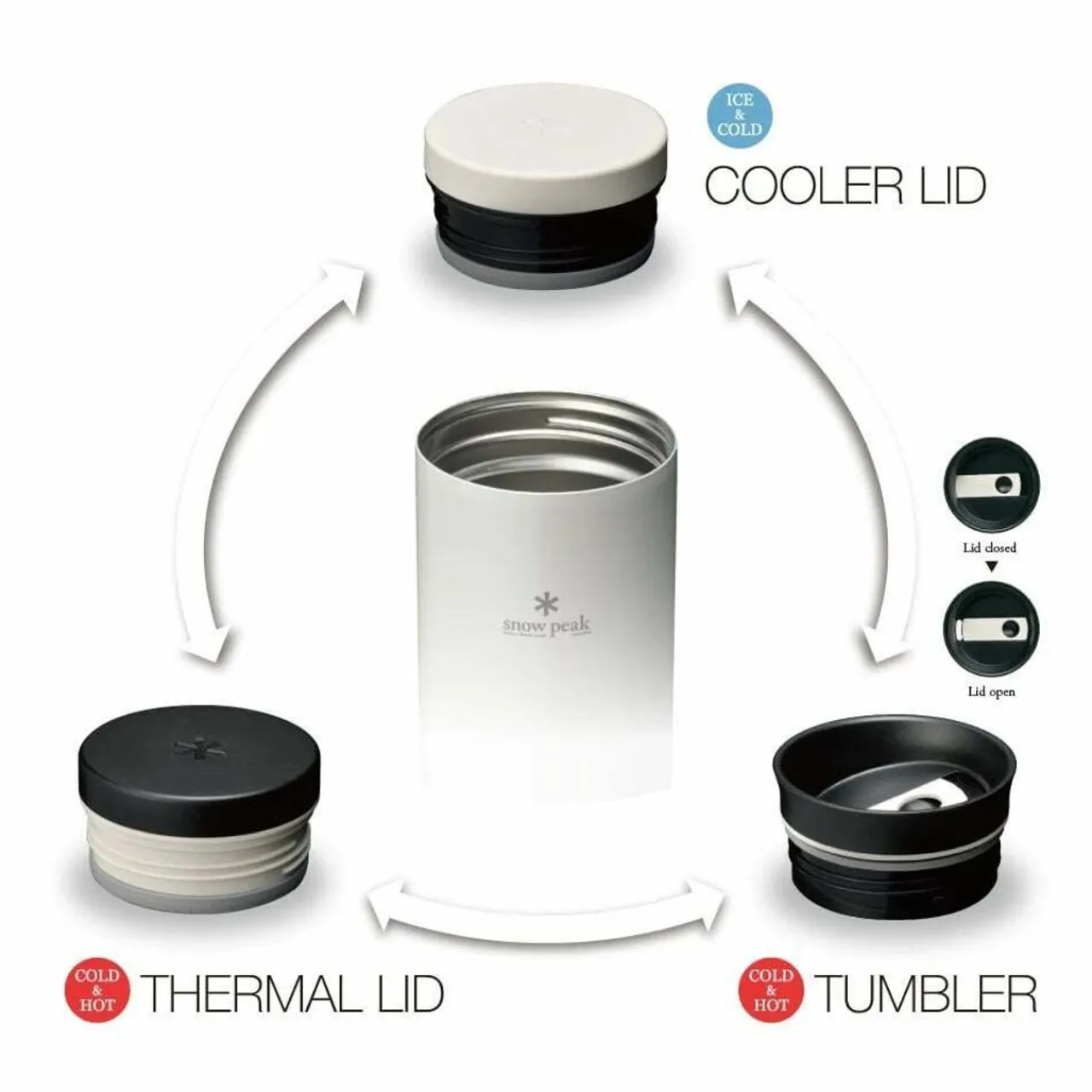 Kanpai Bottle 500ml Vacuum Flasks