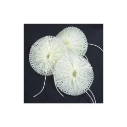 Outlet Mantles for Compact Lantern Stove Accessories & Spares