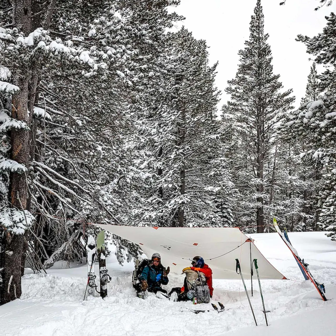 Discount NFT Tarp Tarps