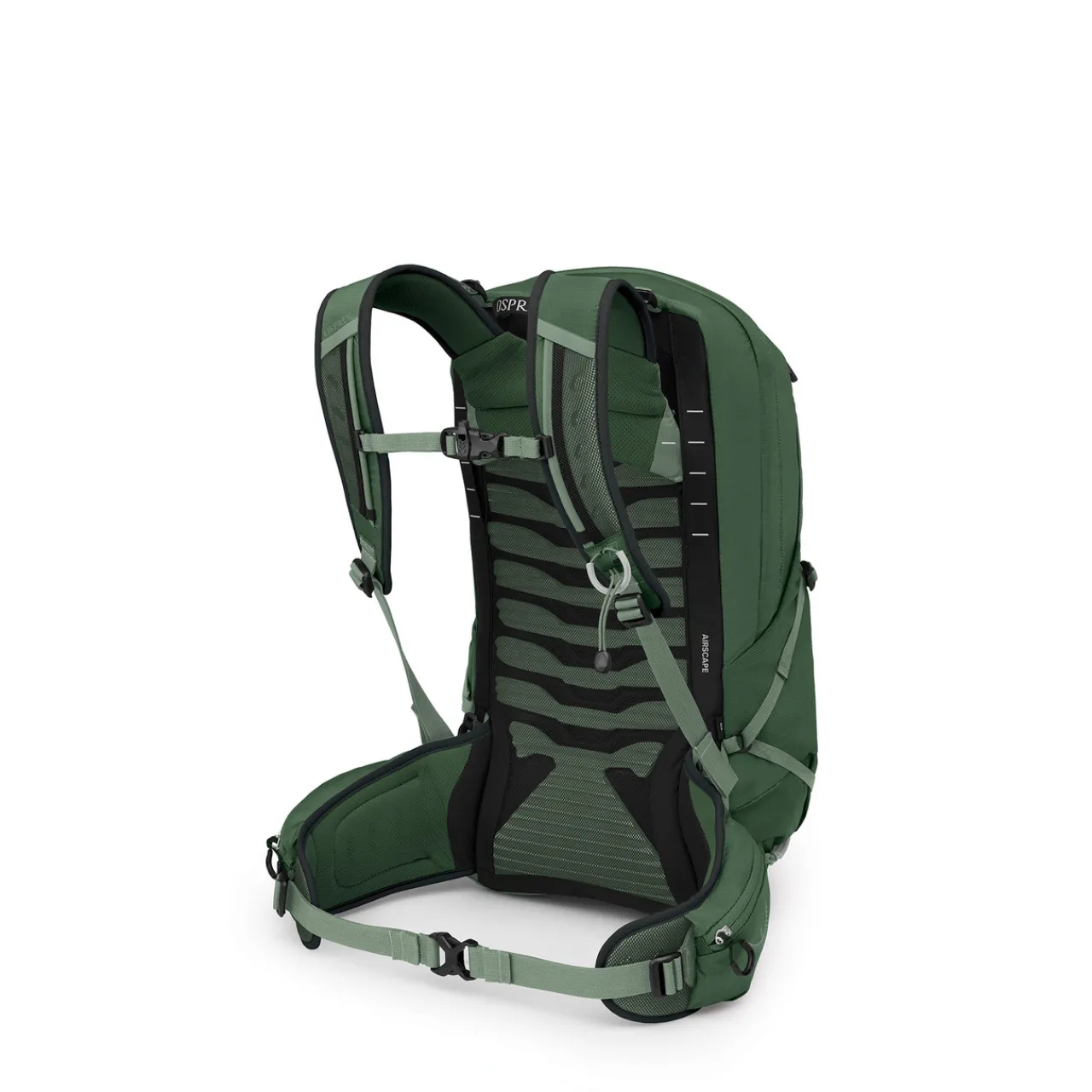 Best Talon 22 Rucksack Day Packs