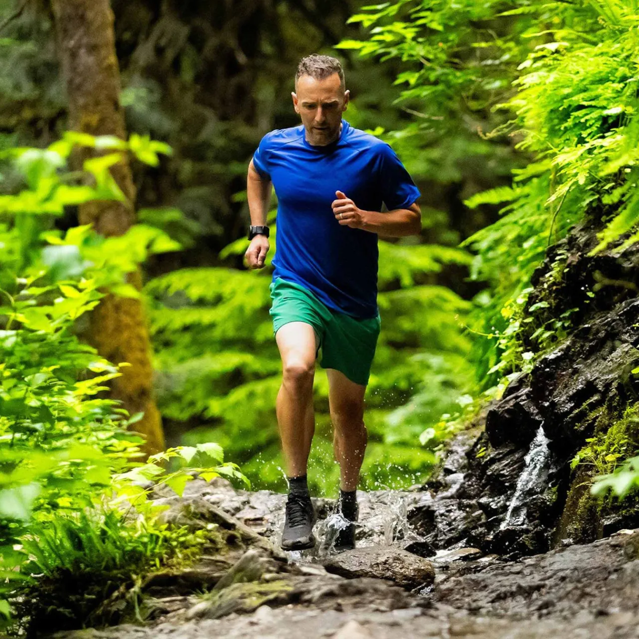 Sale Terraventure 4 WP Running Shoes