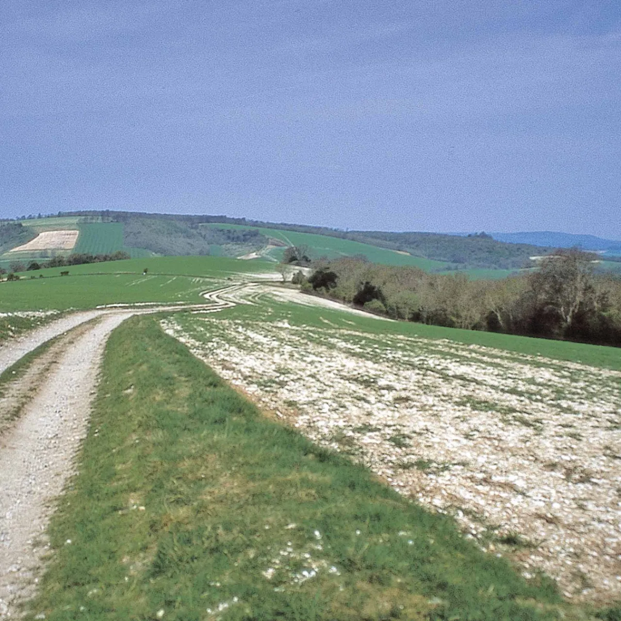Best The South Downs Way 2024 Maps, Guides & Compasses