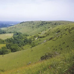 Best The South Downs Way 2024 Maps, Guides & Compasses