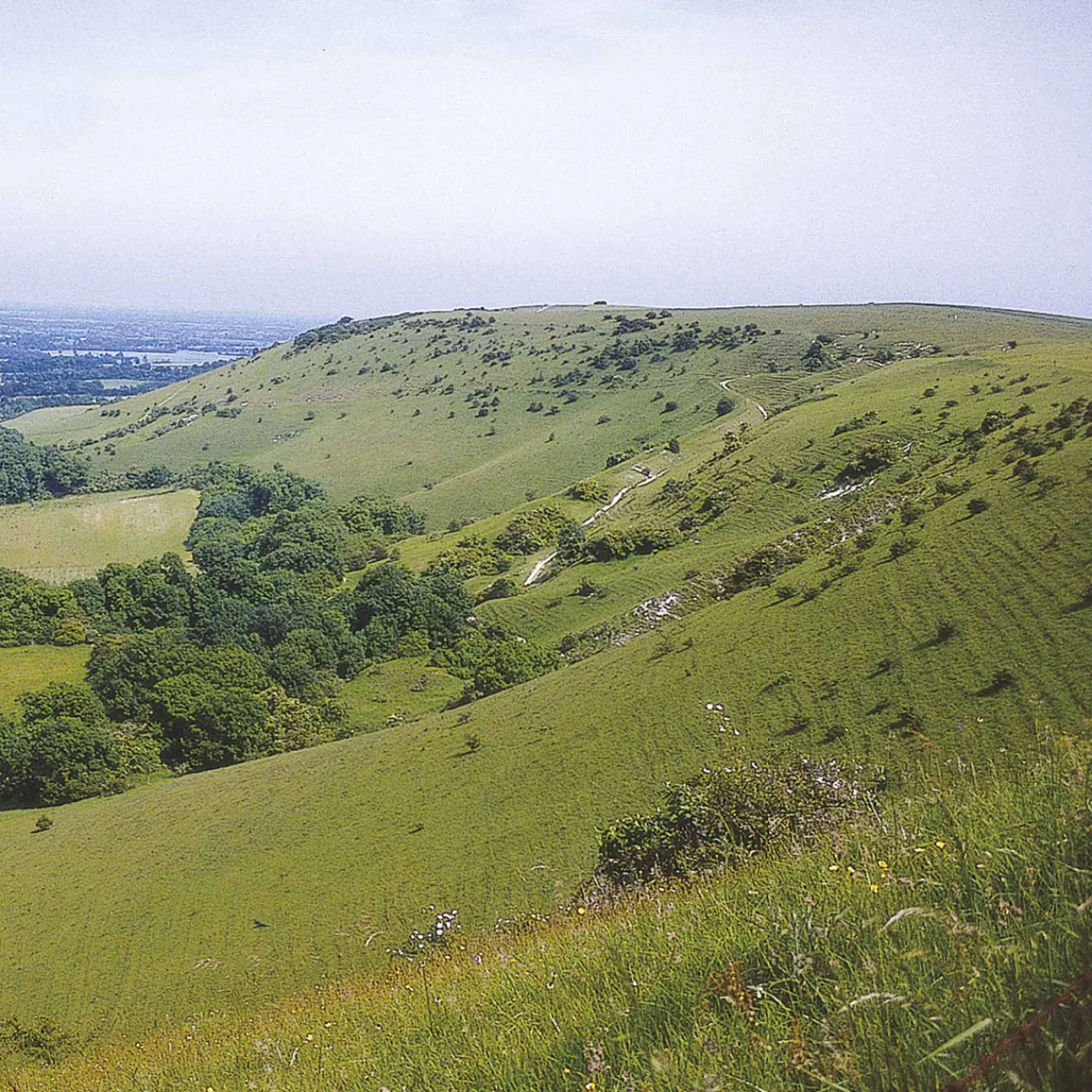 Best The South Downs Way 2024 Maps, Guides & Compasses