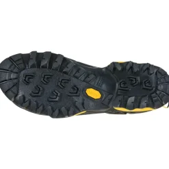 TX5 Low GTX Hiking Footwear