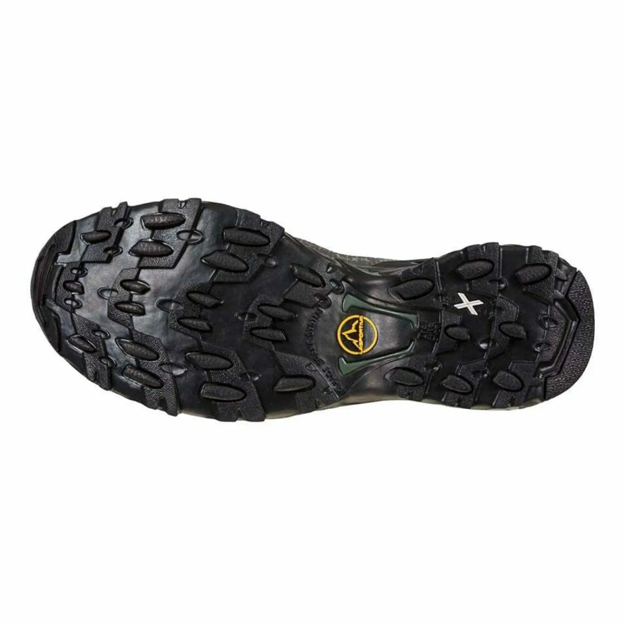 New Ultra Raptor II Mid GTX Hiking Footwear