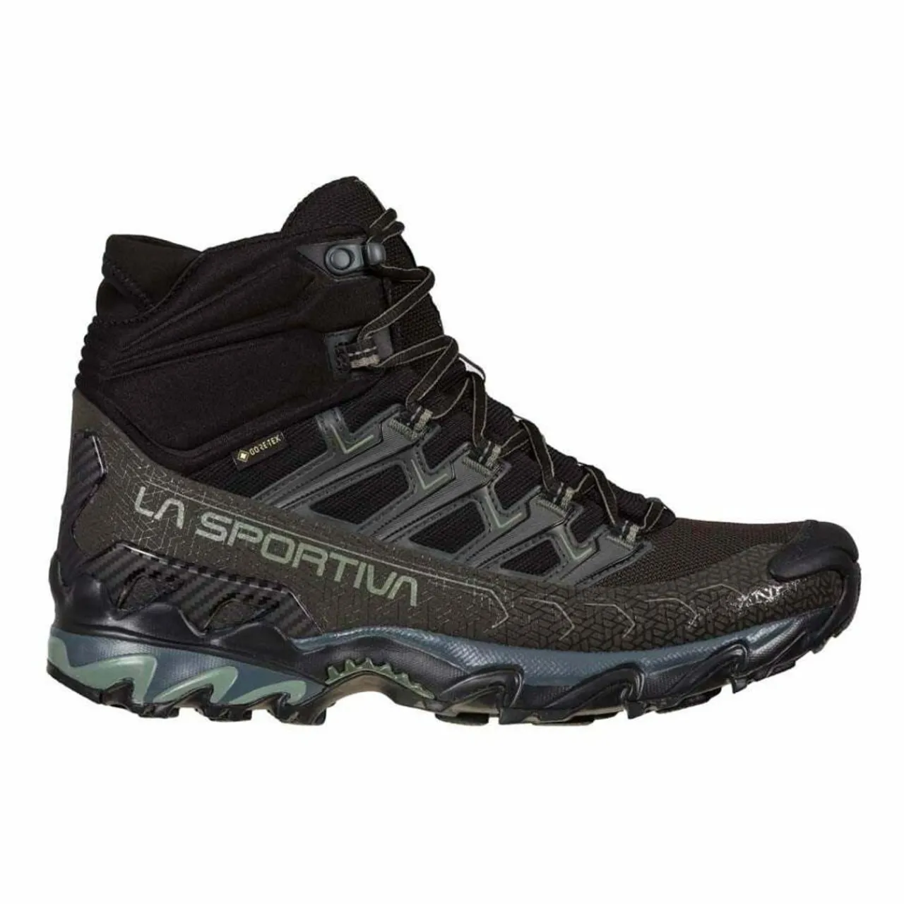 New Ultra Raptor II Mid GTX Hiking Footwear