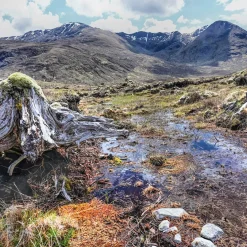 Hot Walking the Munros Vol 2 - Northern Highlands and the Cairngorms 2024 Maps, Guides & Compasses